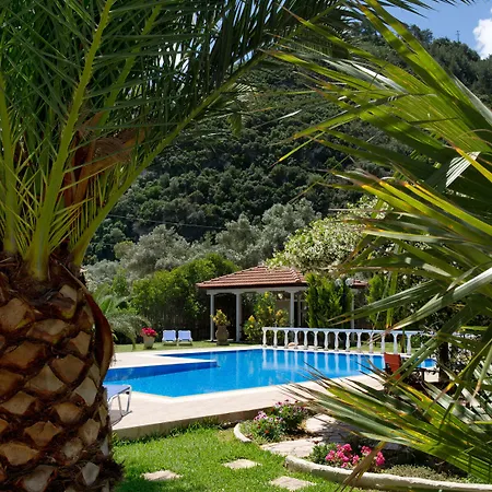 Dimitris And * Agios Ioannis (Lefkada)